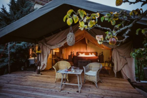 Moselglamping, Traben-Trarbach